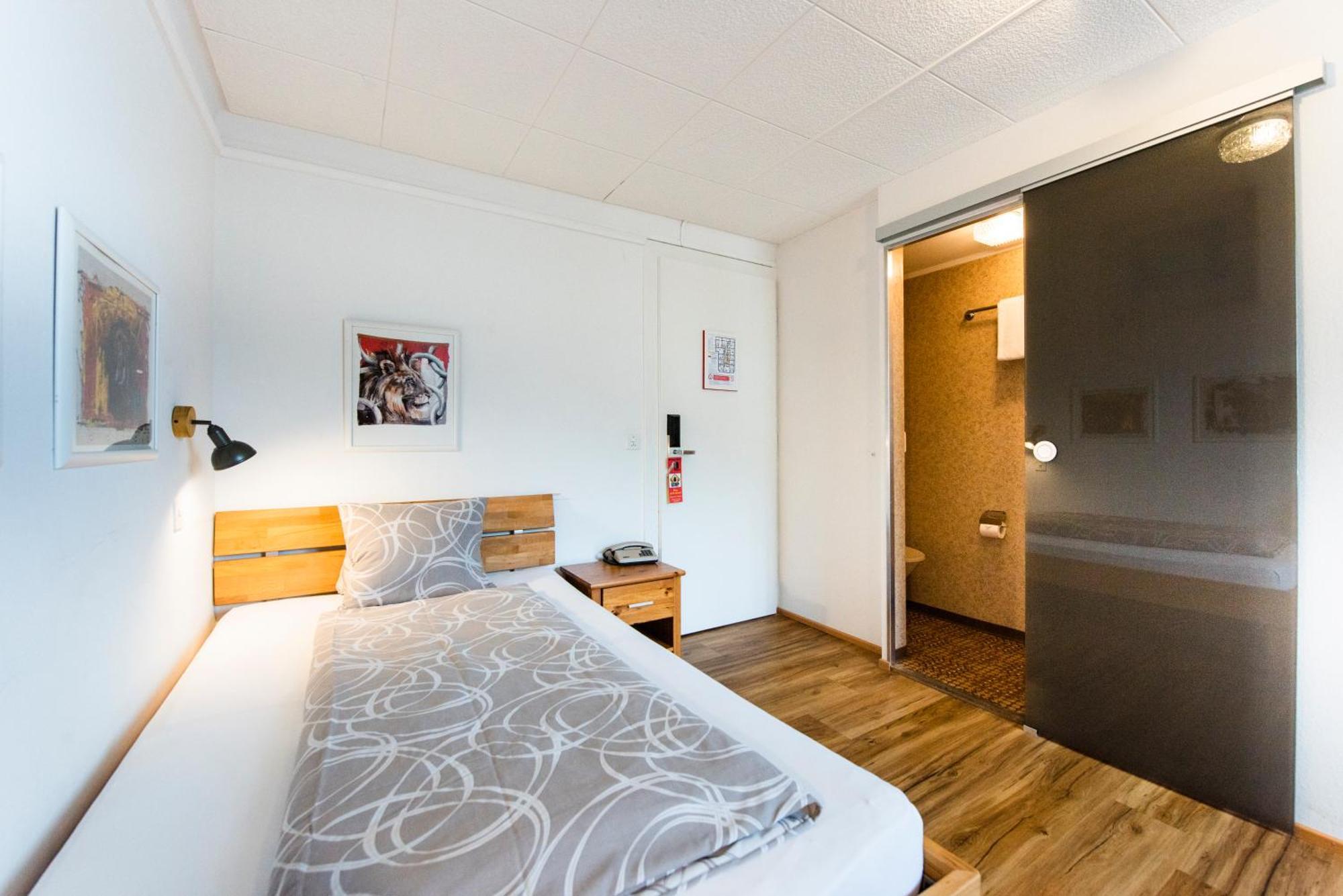 Brienzerburli Hotel 3*
